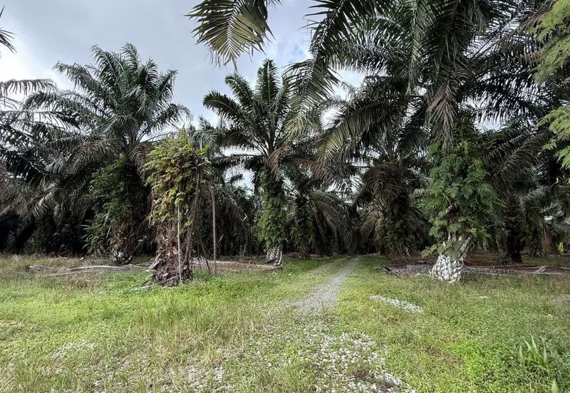 Kawasan Perindustrian Seelong