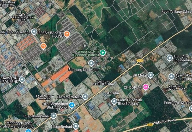 Senai Industrial Park