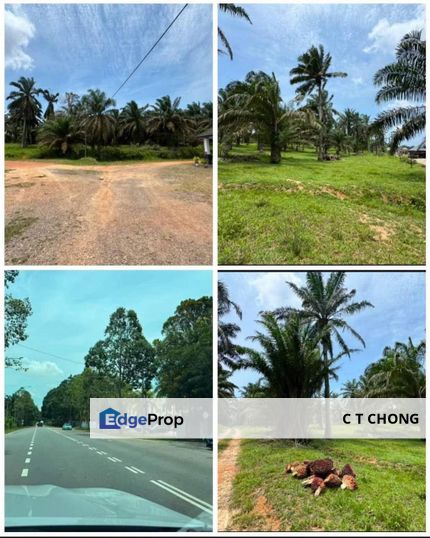Simpang Renggam Kluang Johor Agricultural Land For Sale, Johor, Kluang