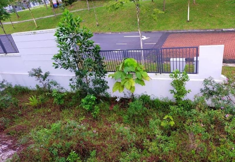 The Cove Semi-Detached @ Horizon Hills