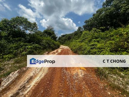 Kota Tinggi Johor Agriculture Land For Sale, Johor, Ulu Tiram