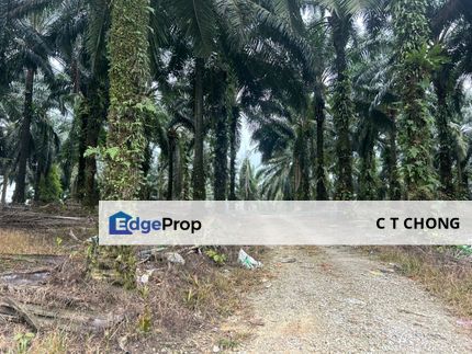 Kulai Industry Land For Sale, Johor, Kulai