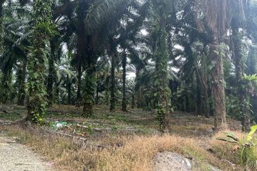 Taman Industri Kulai