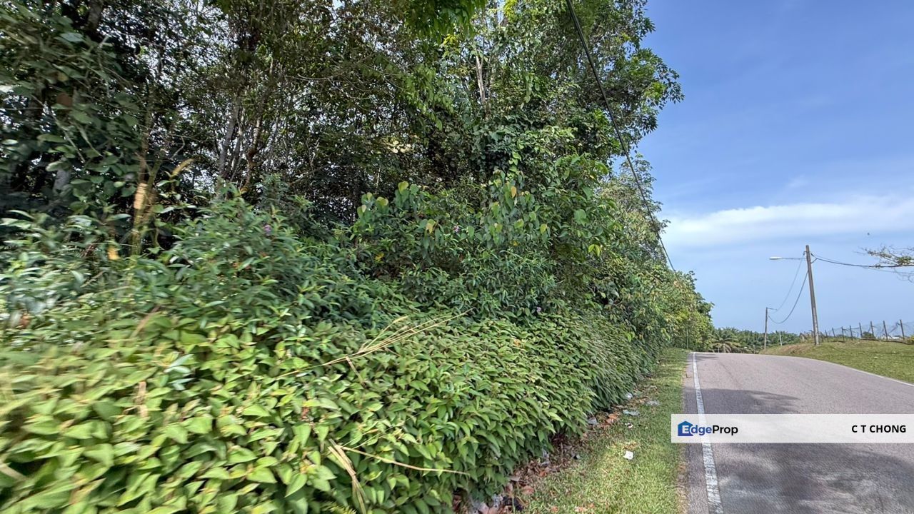 Gelang Patah Light Industry Land For Sale, Johor, Gelang Patah