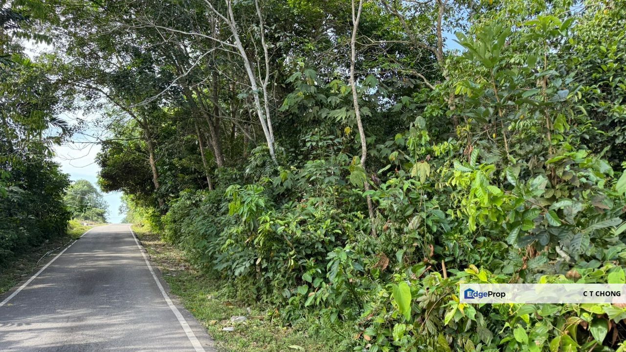 Gelang Patah Light Industry Land For Sale, Johor, Gelang Patah