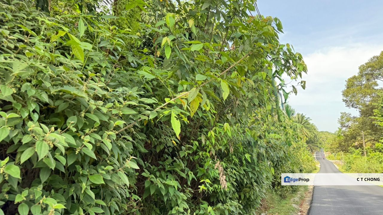 Gelang Patah Light Industry Land For Sale, Johor, Gelang Patah