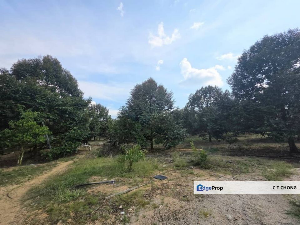  Sungai Tiram Agriculture Land For Sale , Johor, Ulu Tiram