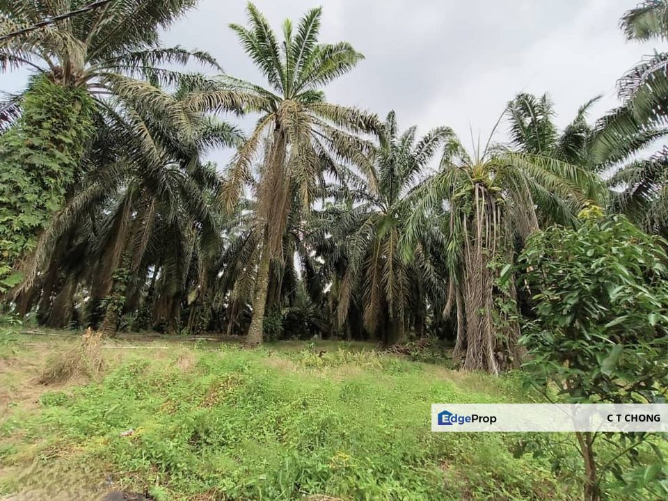 Senai Industrial Land For Sale, Johor, Senai