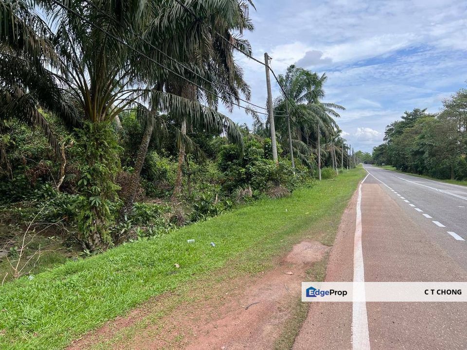 Kota Tinggi Agriculture Land For Sale, Johor, Kota Tinggi