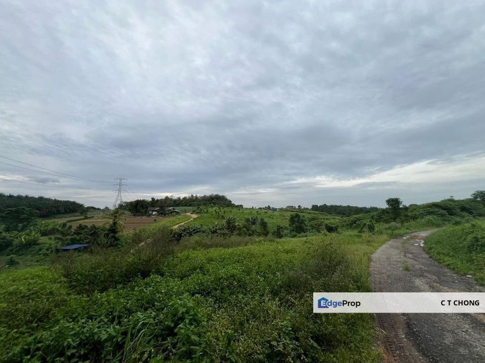 Ban Foo Agriculture Land For Sale, Johor, Ulu Tiram