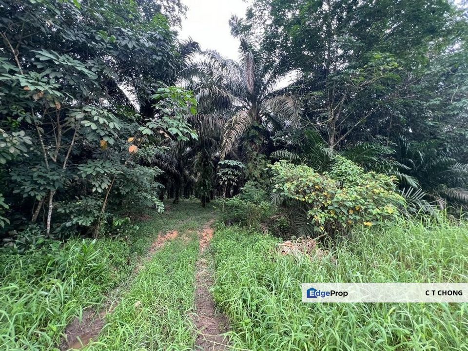 Ban Foo Agriculture Land For Sale, Johor, Ulu Tiram