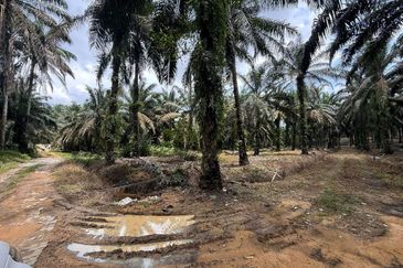 Kawasan Perindustrian Seelong