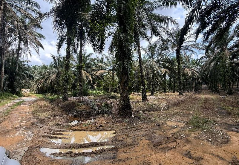 Kawasan Perindustrian Seelong