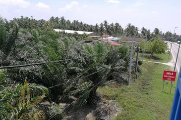 Taman Asam Jawa