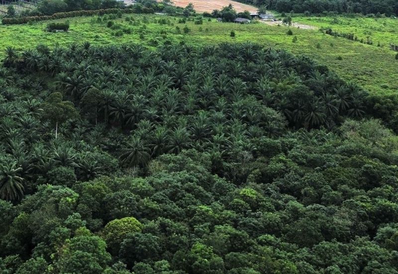 Port Of Tanjung Pelepas