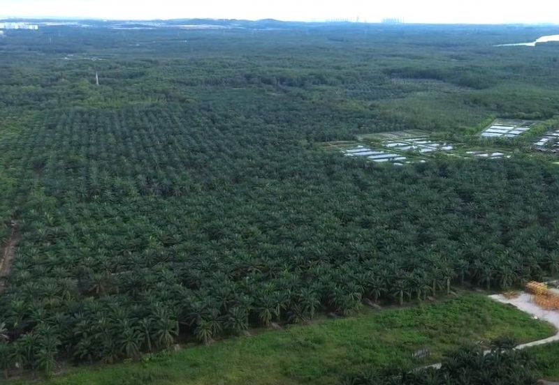 Gelang Patah Industrial Land for Sale