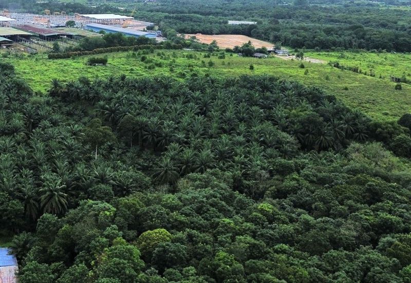 Gelang Patah Industrial Land for Sale