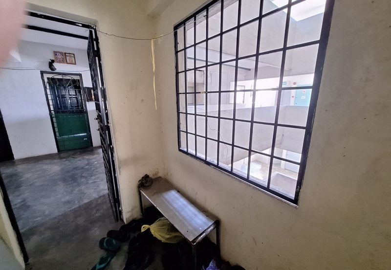 Palm Garden Apartment