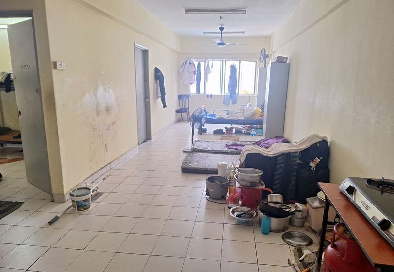 Palm Garden Apartment