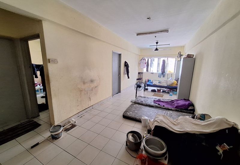 Palm Garden Apartment