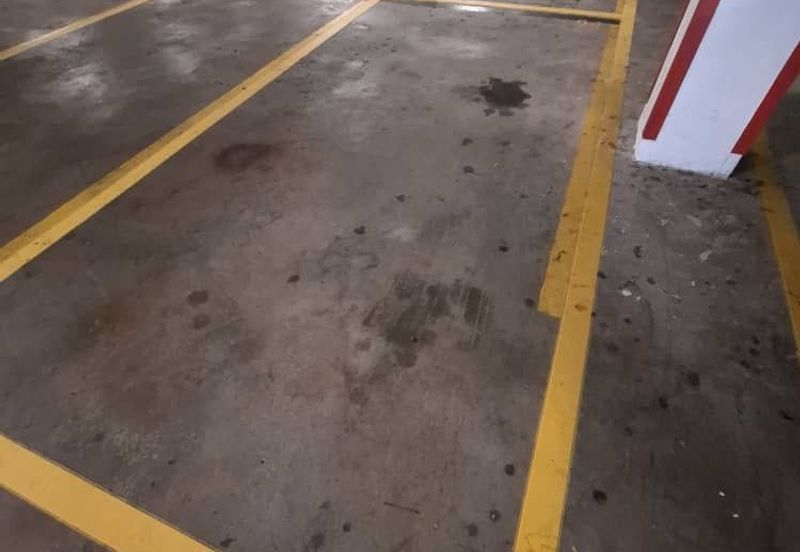 Palm Garden Apartment