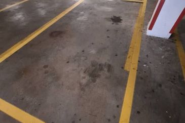 Palm Garden Apartment