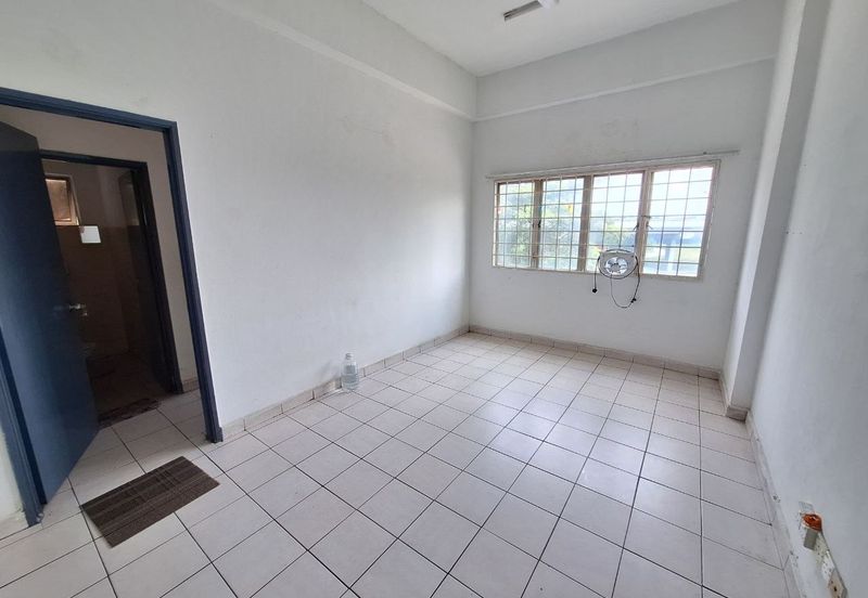 Palm Garden Apartment