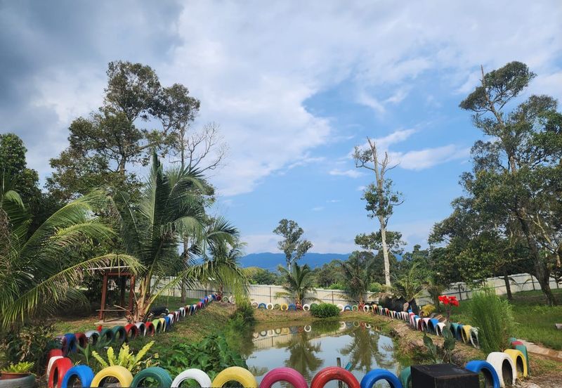 Dreaming of owning a durian farm? Look no further!