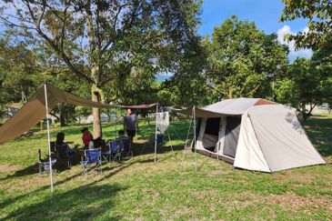 Dreaming of owning a durian farm? Look no further!