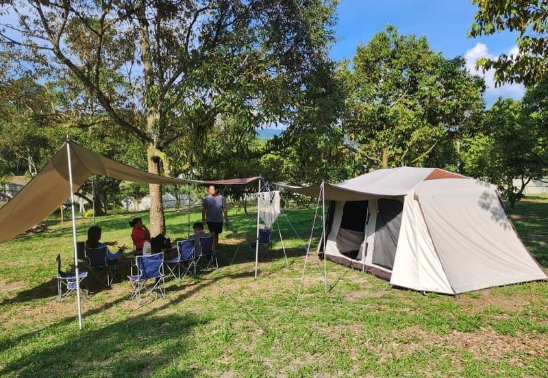Dreaming of owning a durian farm? Look no further!