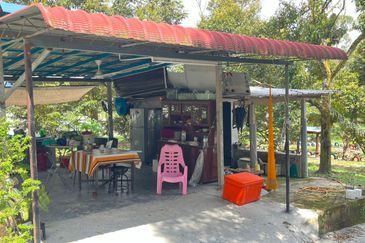 Dreaming of owning a durian farm? Look no further!