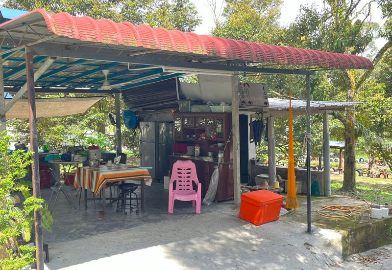 Dreaming of owning a durian farm? Look no further!