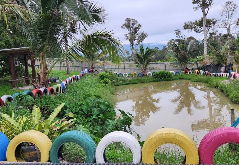 Dreaming of owning a durian farm? Look no further!