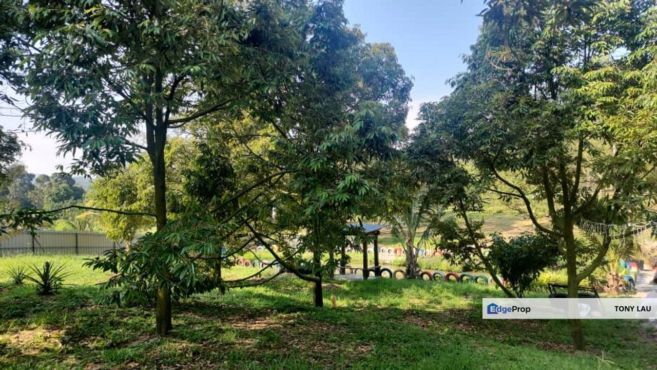 Dreaming of owning a durian farm? Look no further!, Negeri Sembilan, Lenggeng