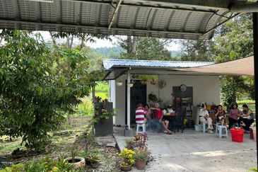 Dreaming of owning a durian farm? Look no further!