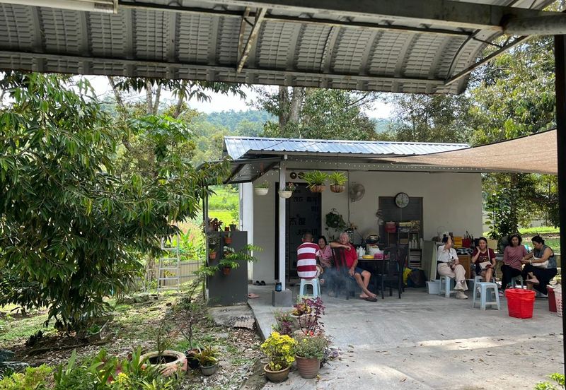 Dreaming of owning a durian farm? Look no further!