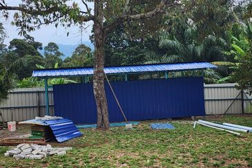 Dreaming of owning a durian farm? Look no further!