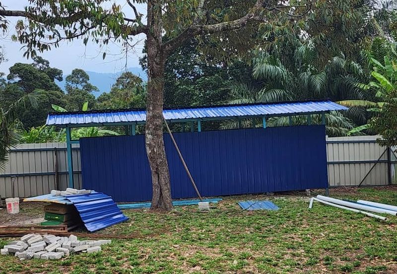 Dreaming of owning a durian farm? Look no further!