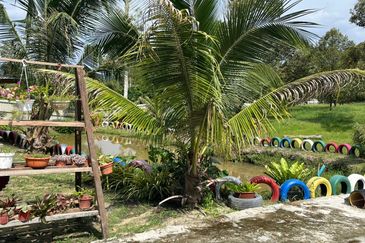 Dreaming of owning a durian farm? Look no further!