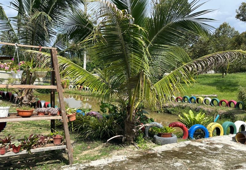 Dreaming of owning a durian farm? Look no further!