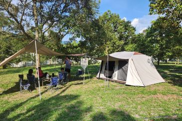 Dreaming of owning a durian farm? Look no further!
