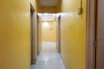 Evergreen Park Acorn and Hazel