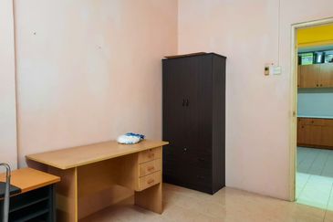 Evergreen Park Acorn and Hazel