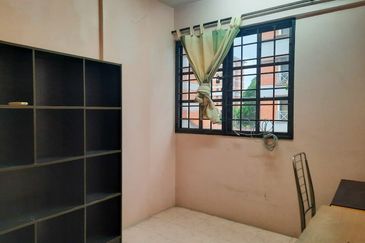 Evergreen Park Acorn and Hazel