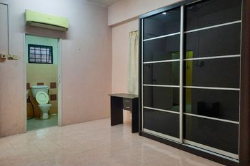 Evergreen Park Acorn and Hazel