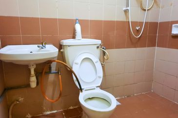 Evergreen Park Acorn and Hazel