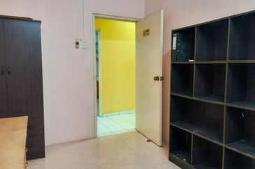 Evergreen Park Acorn and Hazel