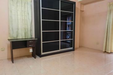 Evergreen Park Acorn and Hazel