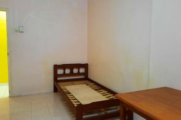 Evergreen Park Acorn and Hazel