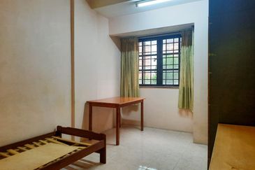 Evergreen Park Acorn and Hazel